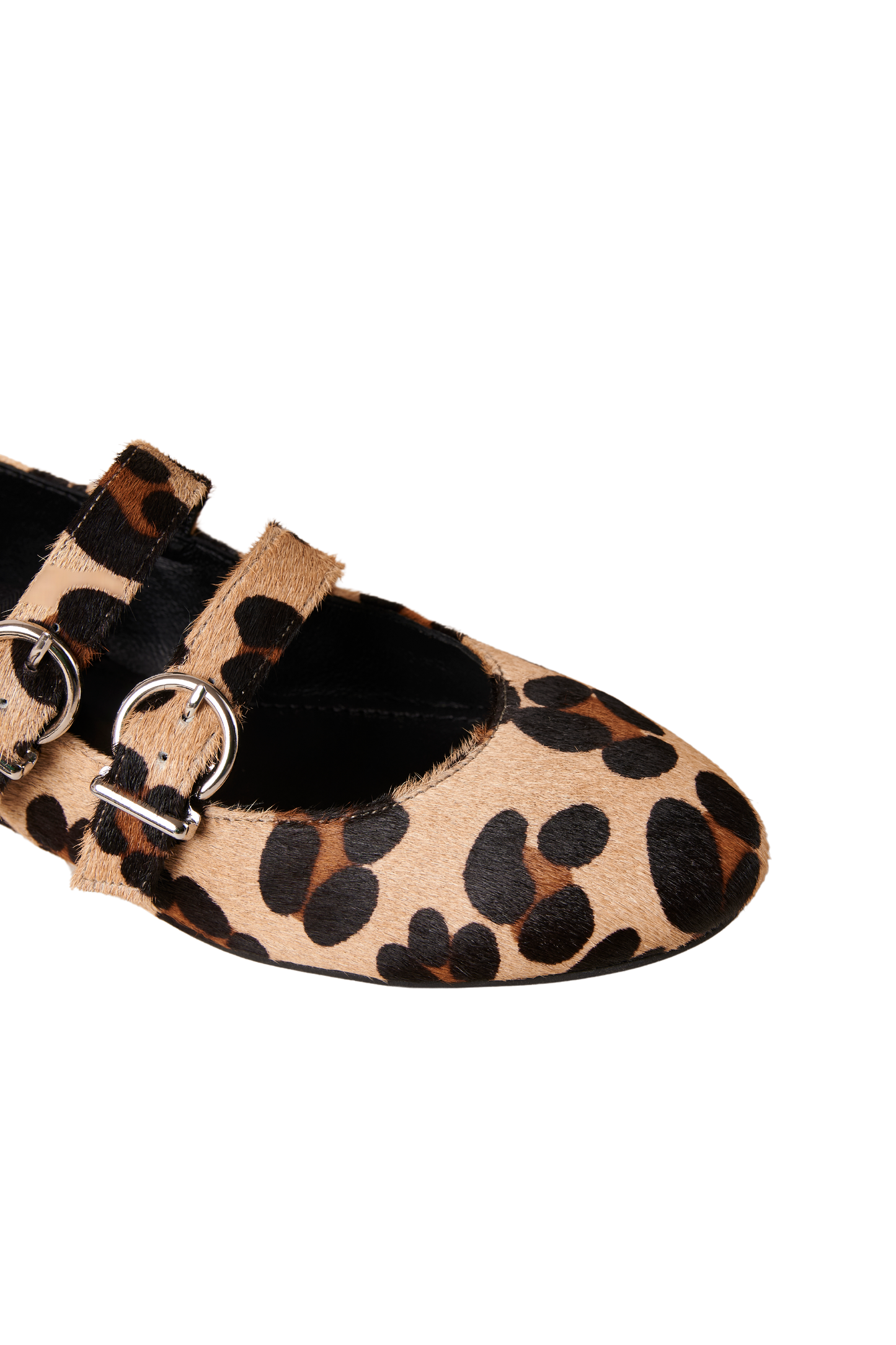 ALH2FLS00009LEW_Animal print_0.jpeg