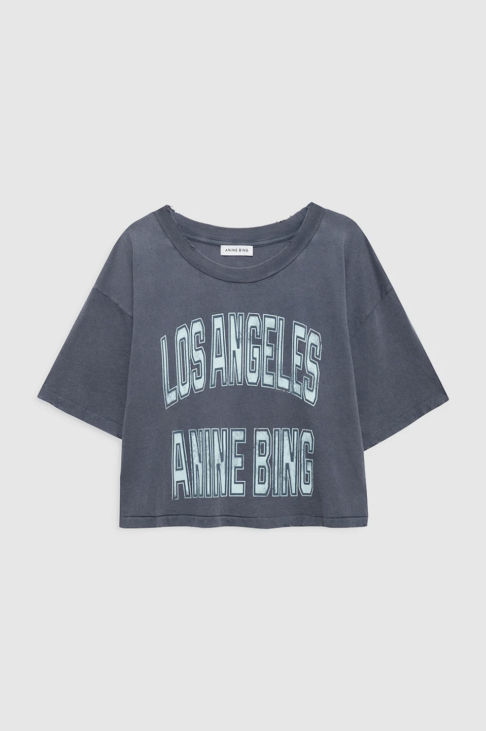 ANI1TOP00003CTW_WASHED+GREY_2.png