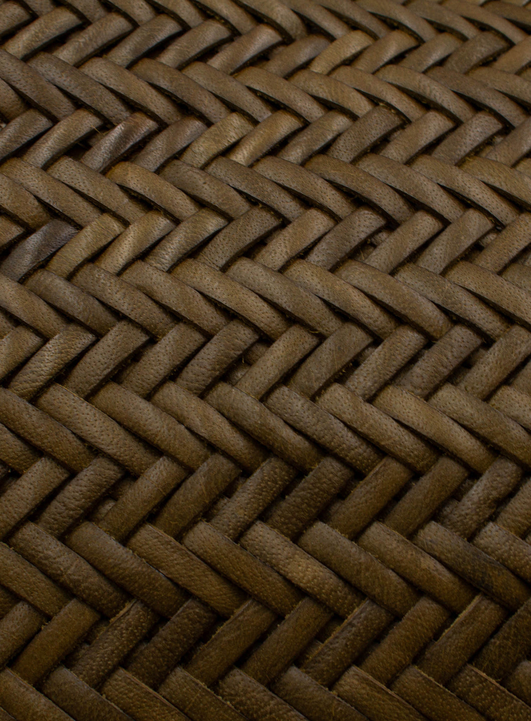 DDFBBCP00001LEW_Khaki_4.png