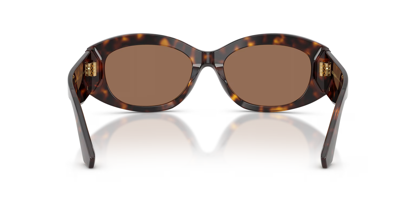 DYG4ACC01696AEW_Havana%2CDark+Brown_2.png