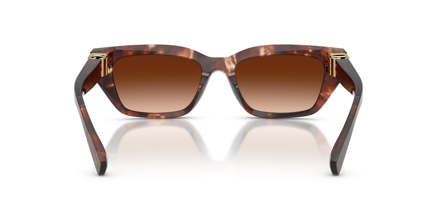 DYG4ACC01699AEW_Dark+Red+Havana%2CBrown+Gradient_2.png