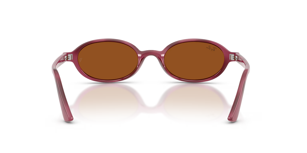 RBN4ACC01752OMU_Violet+Havana%2BDark+Brown_2.png