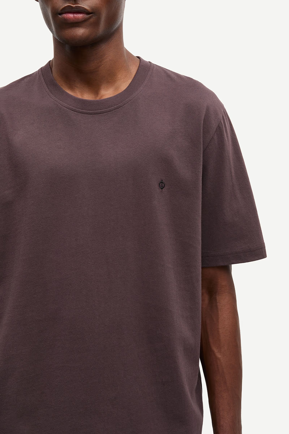 SAS1TOP00094CTM_RAISIN_2.png