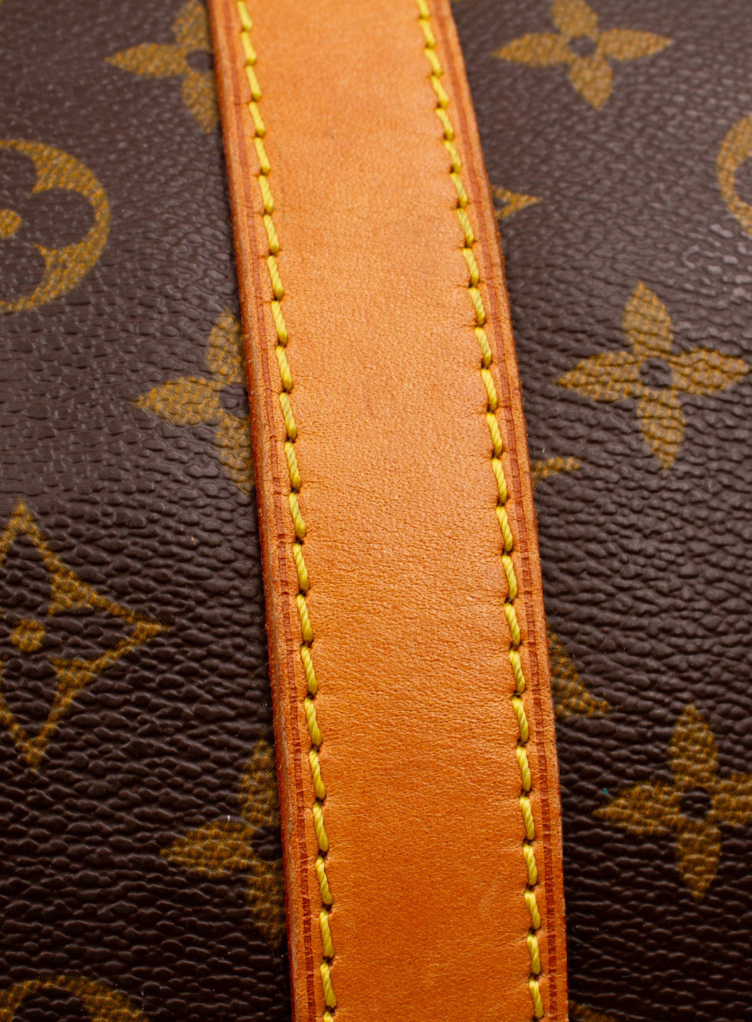 TVBBBCP02122LSW_Brown_3.png