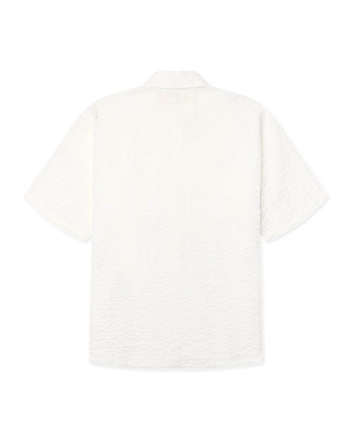 WDB1TOP10772CTM_Off+white_3.png