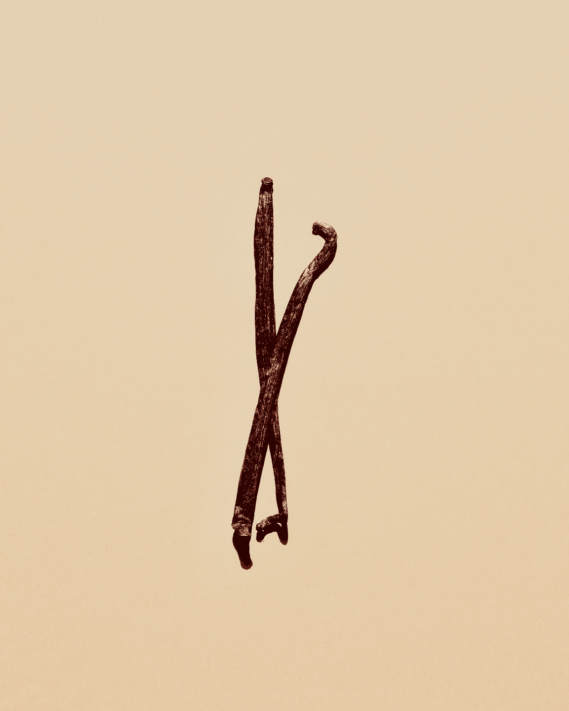 ACC6FCG13393GLU_Amarillos_1.png