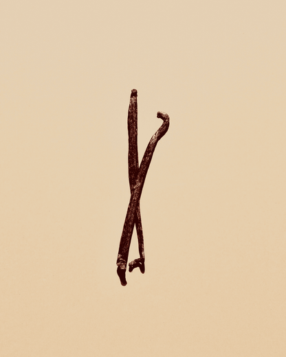 ACC6FCG13393GLU_Amarillos_1.png