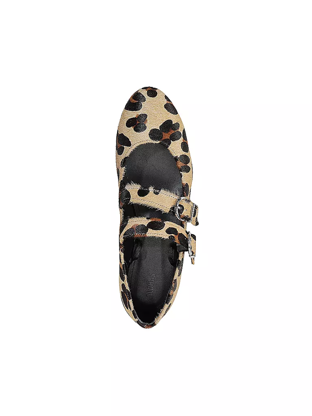 ALH2FLS00009LEW_Animal+print_2.png