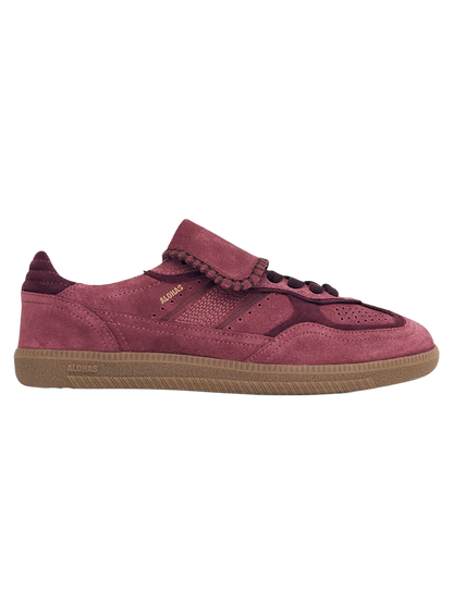 ALH2SHA00000LEW_Raspberry_0.png