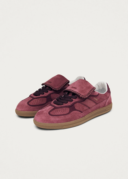 ALH2SHA00000LEW_Raspberry_1.png
