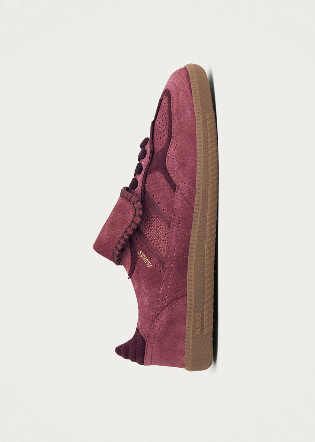 ALH2SHA00000LEW_Raspberry_3.png