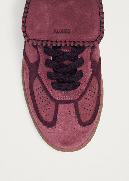 ALH2SHA00000LEW_Raspberry_4.png