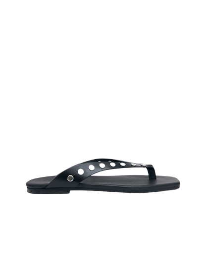 ALHCCAL11801LEW_Black_0.png