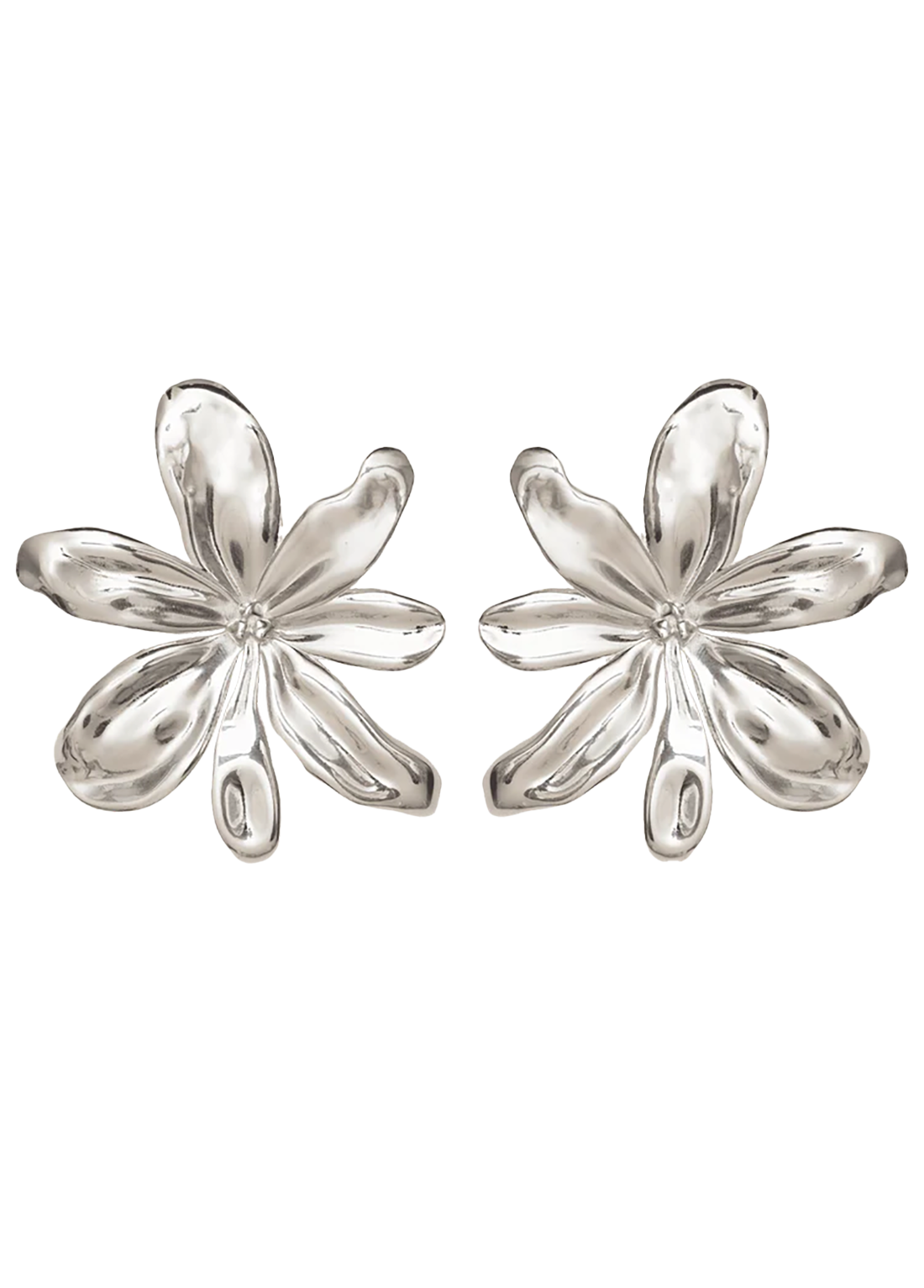 ALJ5JEW00002SSW_Silver+80_0.png