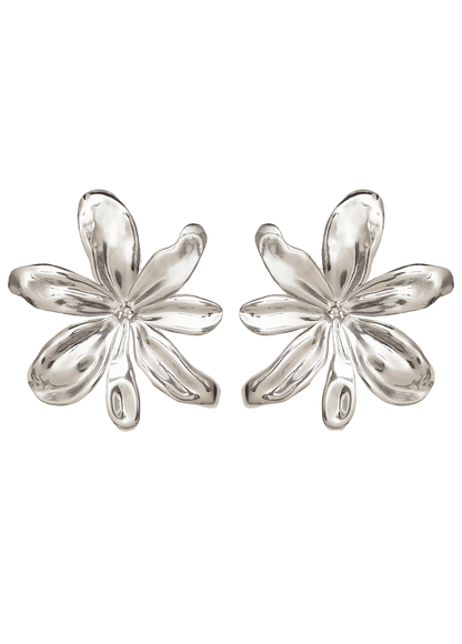 ALJ5JEW00002SSW_Silver+80_0.png