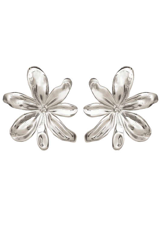 ALJ5JEW00002SSW_Silver+80_0.png