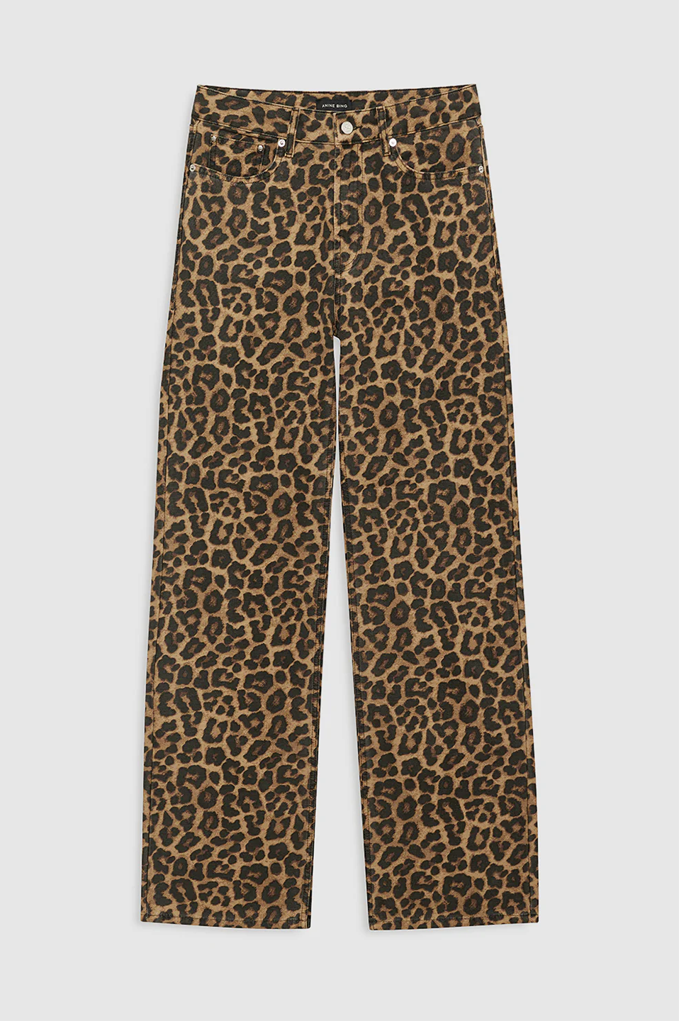 ANI1JEA00010CTW_Leopard_2.png