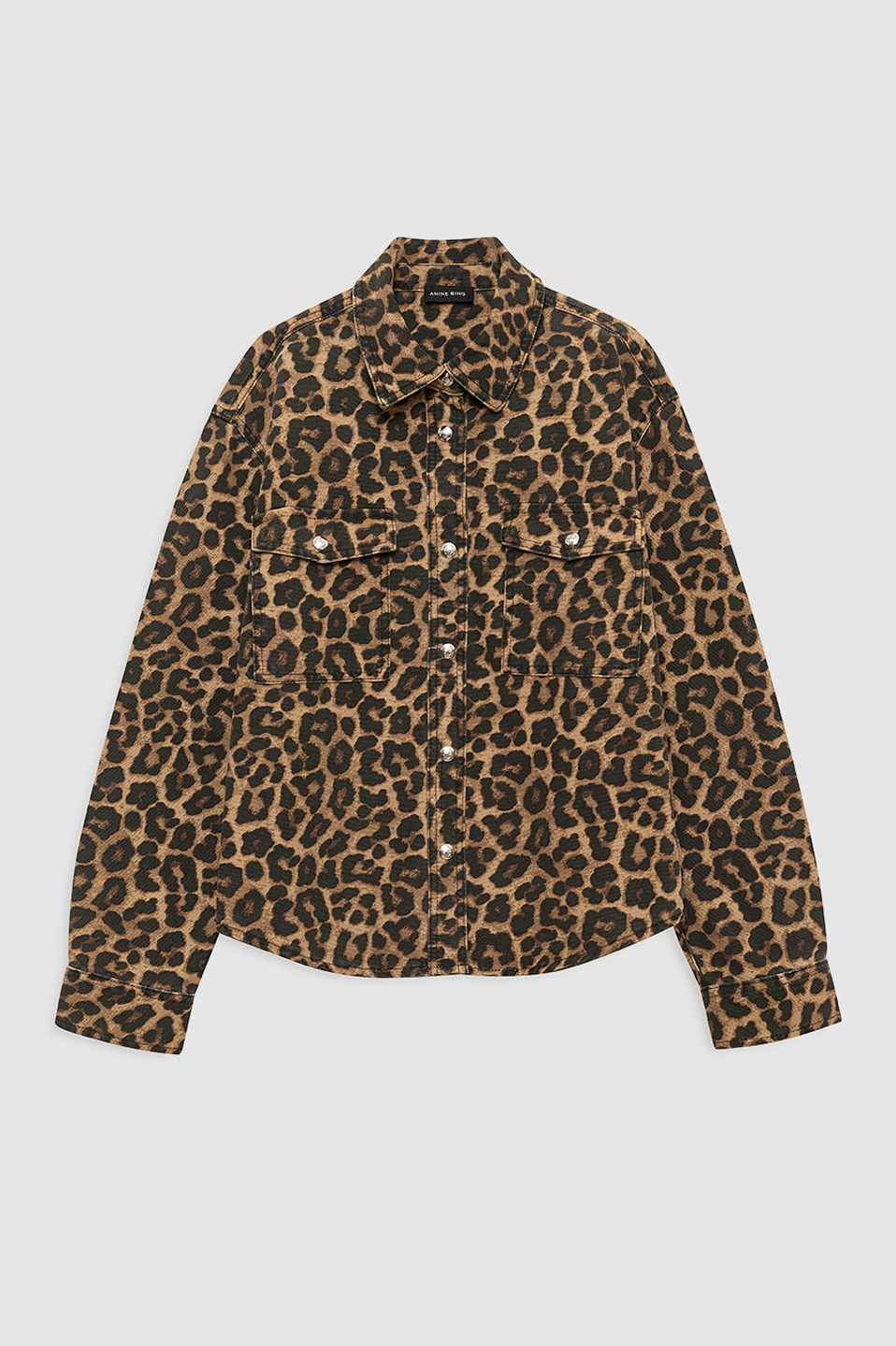ANI1TOP00011CTW_Leopard_3.png