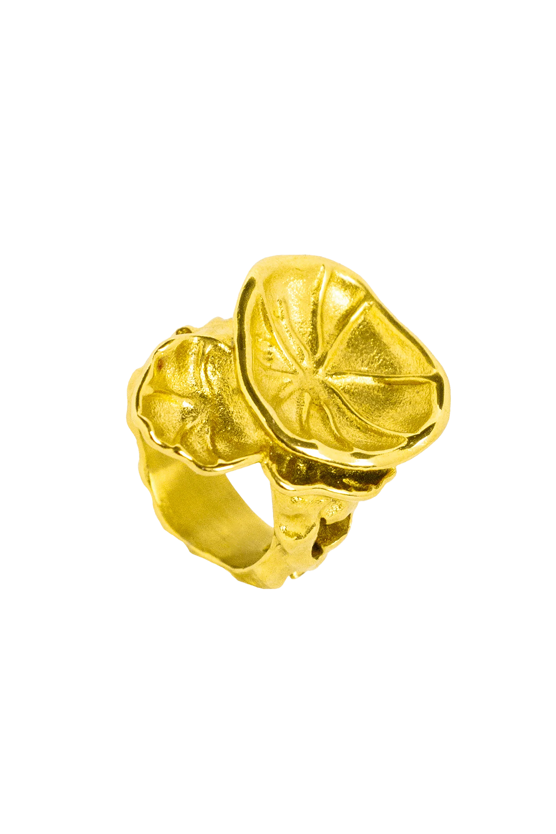 ARJ5JEW00001SLU_Oro_0.png