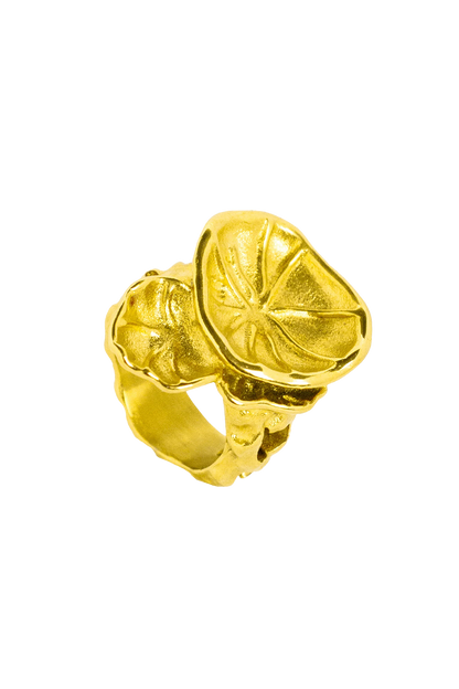 ARJ5JEW00001SLU_Oro_0.png