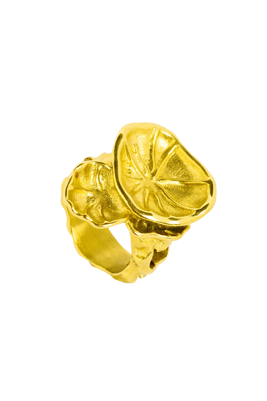 ARJ5JEW00001SLU_Oro_0.png