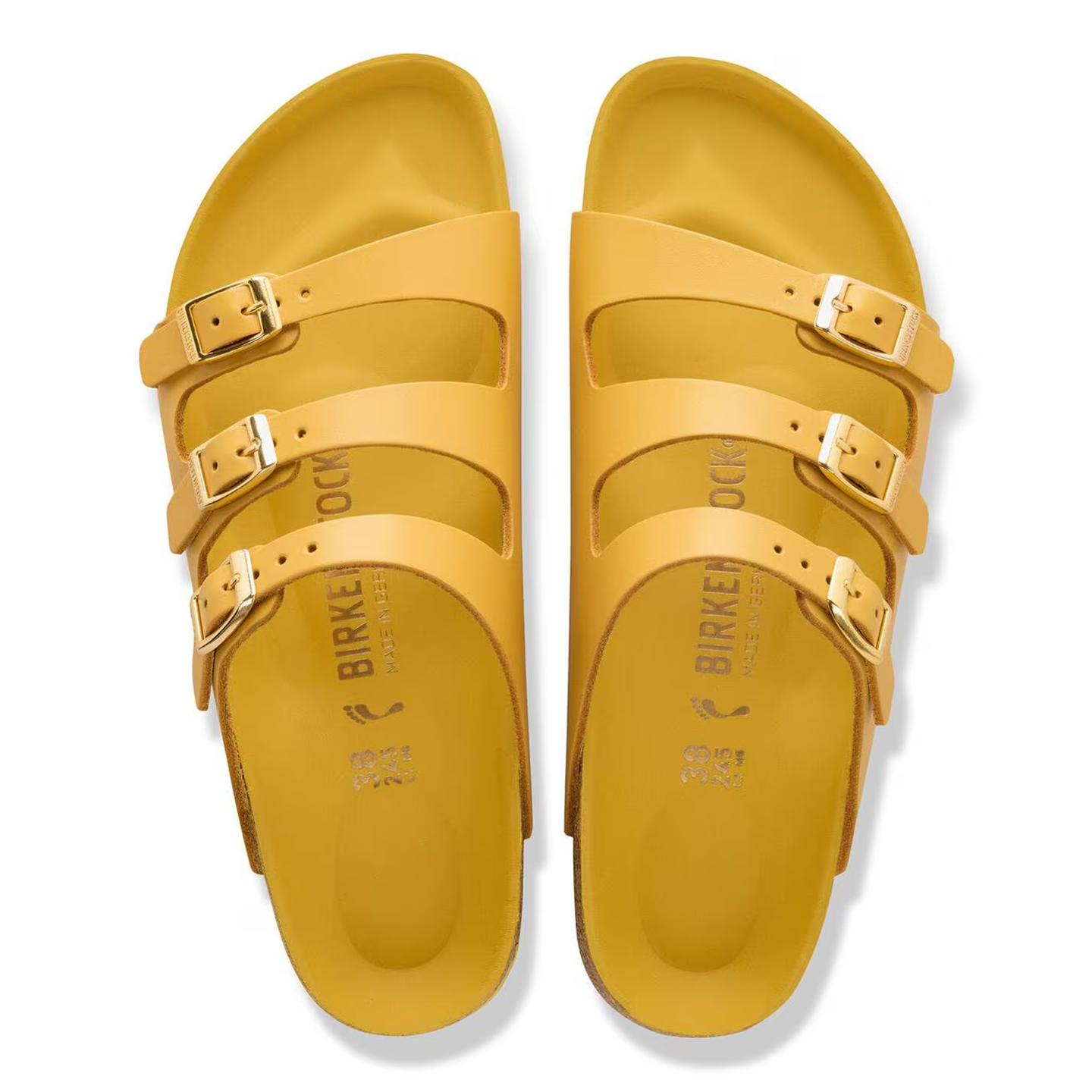 BIRCCAL22476LEW_New+Dressy+Ochre_2.png