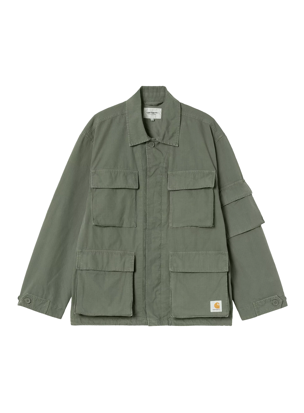 CAH1CJK13672CTM_Leaf_0.png