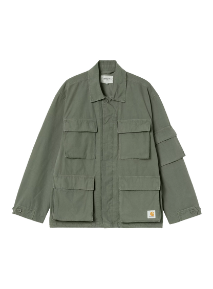 CAH1CJK13672CTM_Leaf_0.png