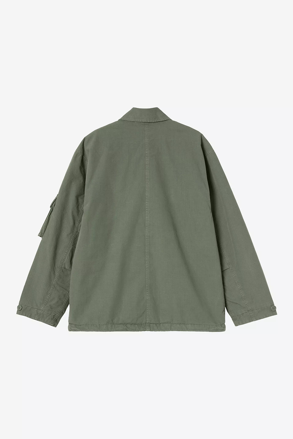 CAH1CJK13672CTM_Leaf_1.png
