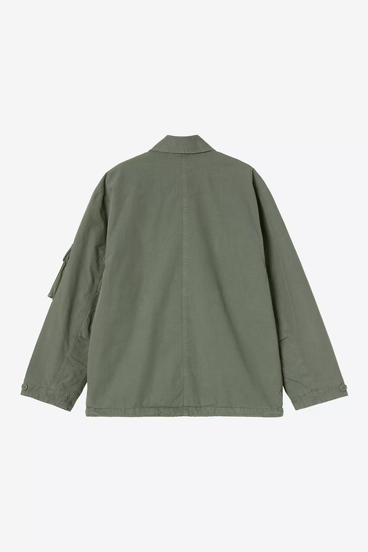 CAH1CJK13672CTM_Leaf_1.png