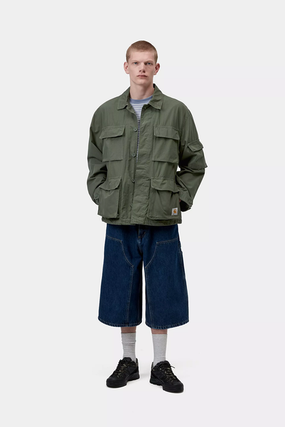 CAH1CJK13672CTM_Leaf_4.png