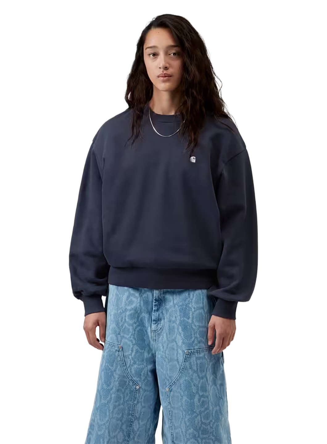 CAH1SWE00002CTW_Dark+Navy+%2B+Silver_0.png