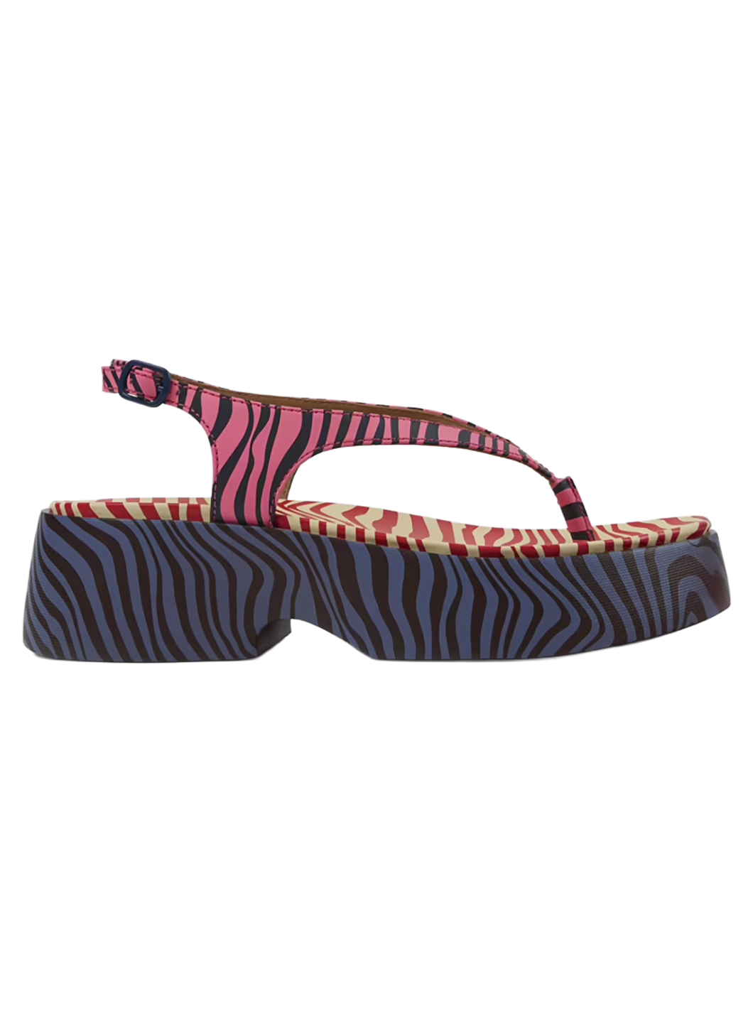 CAMCCAL00011LEW_Multicolor_0.png