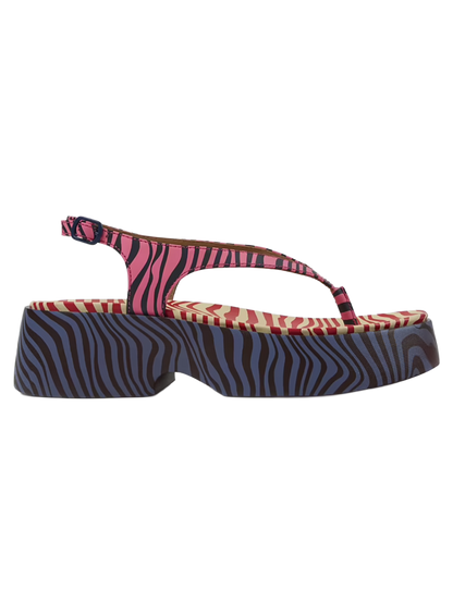 CAMCCAL00011LEW_Multicolor_0.png