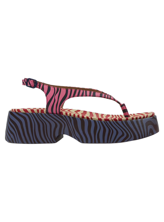 CAMCCAL00011LEW_Multicolor_0.png