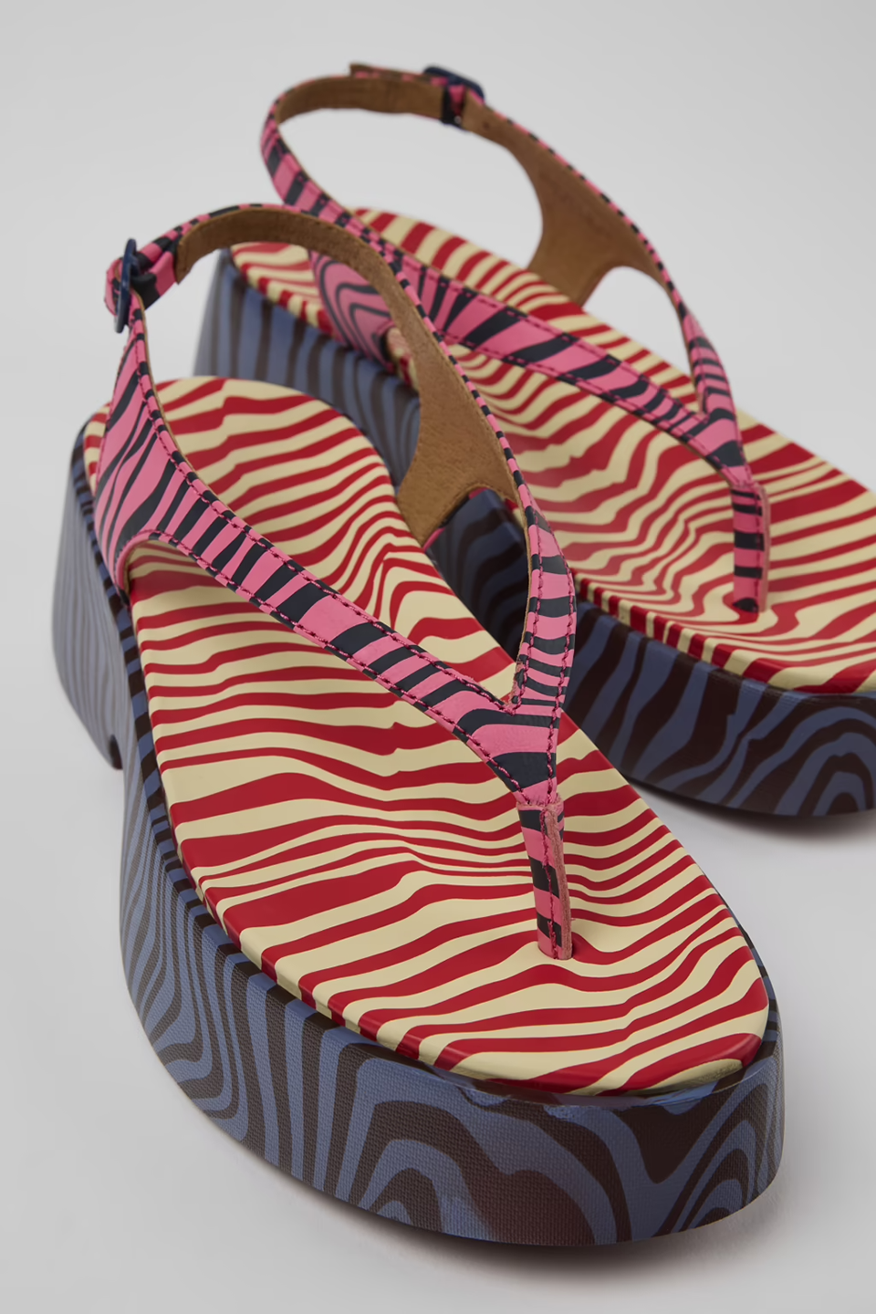 CAMCCAL00011LEW_Multicolor_2.png