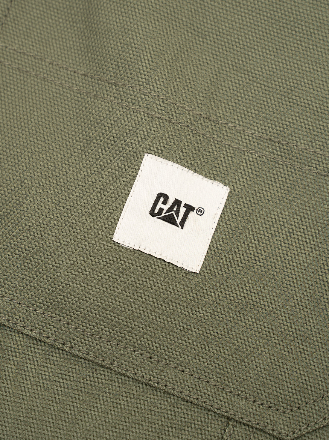 CAP1SPO00000CTM_BEETLE_2.png