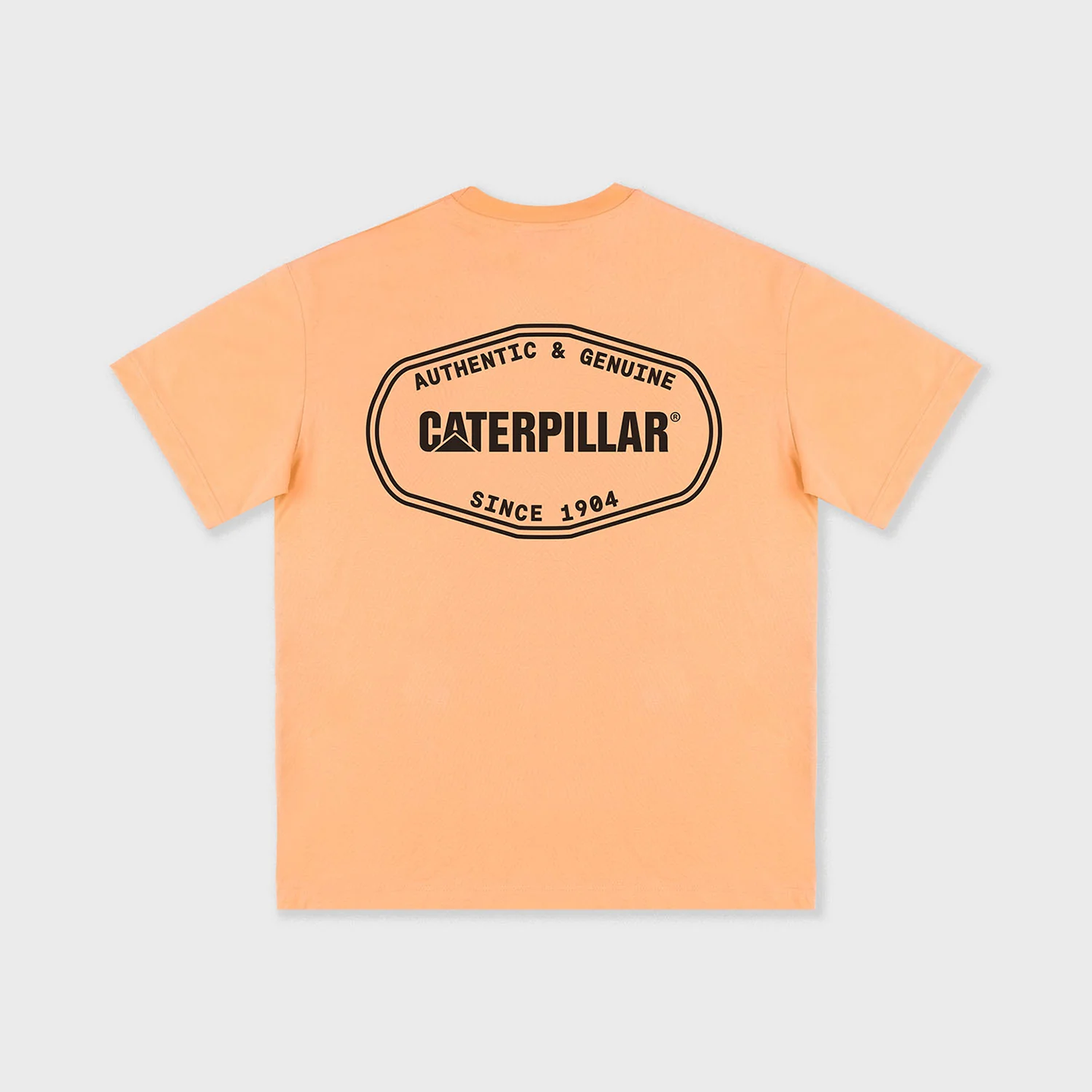 CAP1TOP10313CTM_PESCO_1.png