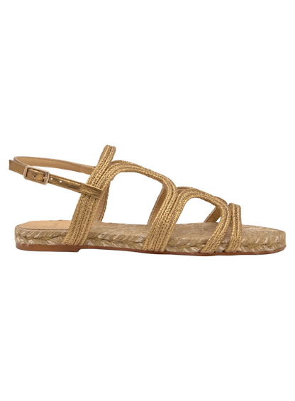 CATCCAL00000PCW_Oro+Viejo_0.png