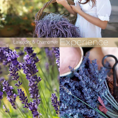 CCN6BDY00016PIU_Lavender+%26+Chamomile_1.png