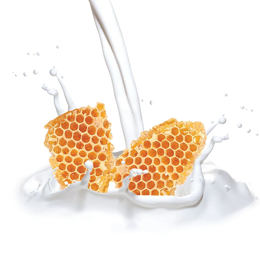 CCN6BDY00016PIU_Milk+%26+Honey_1.png