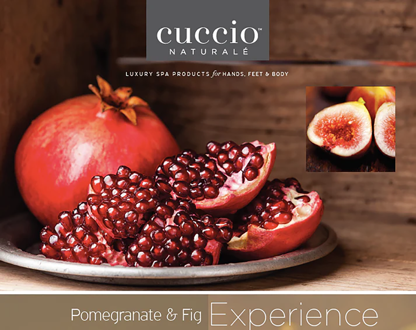 CCN6BDY00016PIU_Pomegranate+%26+Fig_1.png