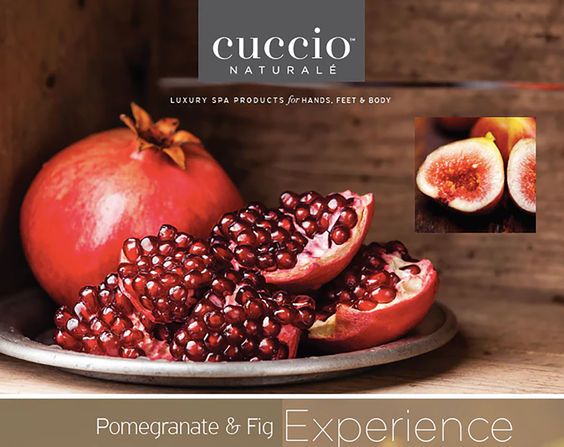 CCN6BDY00016PIU_Pomegranate+%26+Fig_1.png