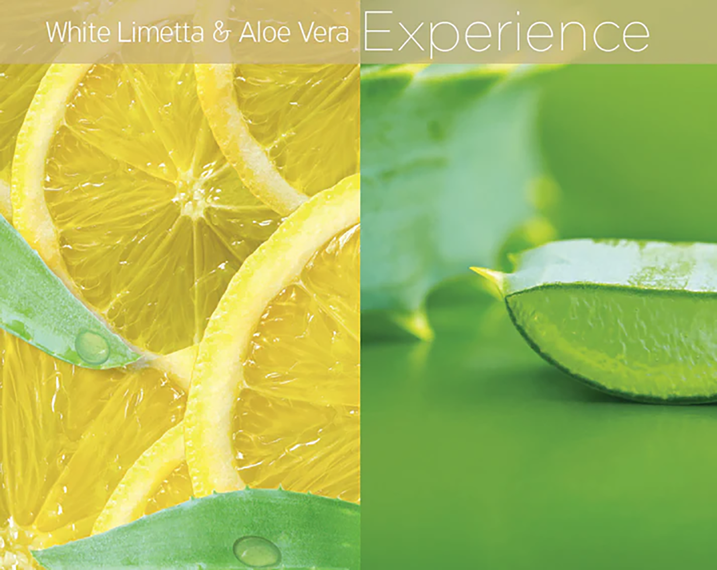 CCN6BDY00016PIU_White+Limetta+%26+Aloe+Vera_1.png