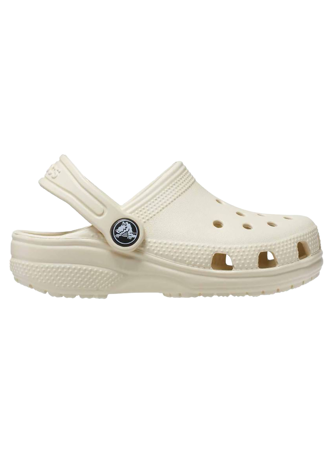 CRCCCAL00002RUU_Bone_0.png