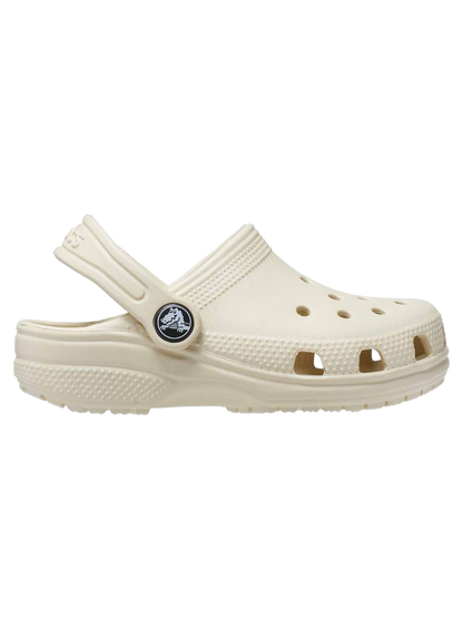 CRCCCAL00002RUU_Bone_0.png