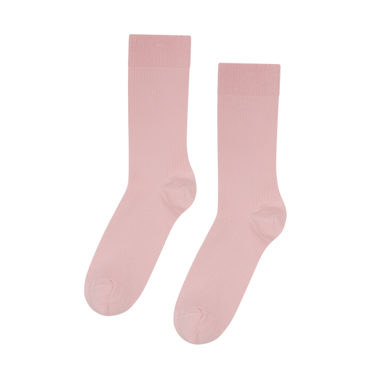 CSD4SPO00000CTM_Pink_0.png