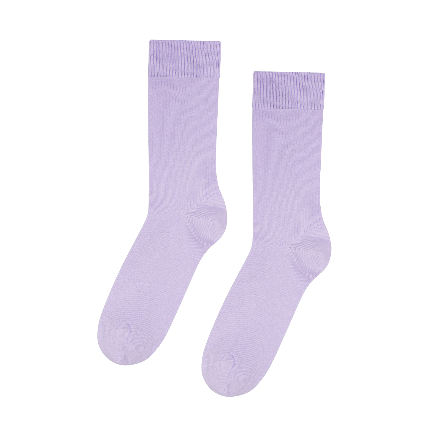 CSD4SPO00000CTM_Purple_0.png