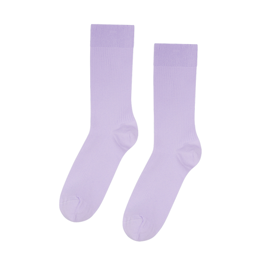 CSD4SPO00000CTM_Purple_0.png