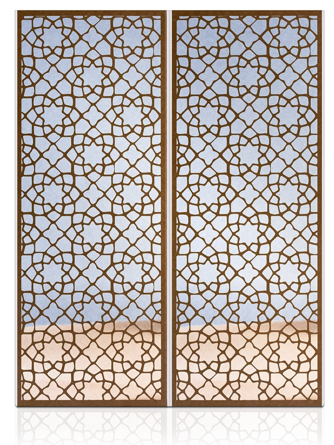 CTP6FCG26781PMU_Transparente_3.png